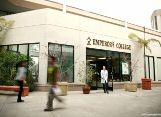 History of Integration of the Best of Eastern and Western medicines