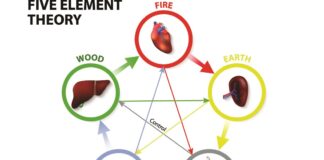 A Hook that Unites Acupuncture with Sasang Medicine 사암으로 사상을 통합하는 고리
