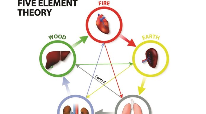 A Hook that Unites Acupuncture with Sasang Medicine 사암으로 사상을 통합하는 고리