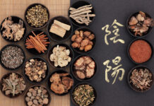 The Dynamics of Shang Han Lun ⑤ Example of Symptoms and ‘Sign Symptoms’ in a Formula