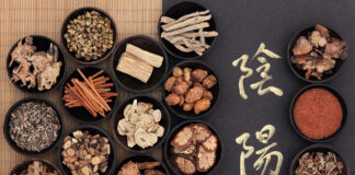 The Dynamics of Shang Han Lun ⑤ Example of Symptoms and ‘Sign Symptoms’ in a Formula