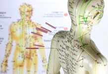 Underlying Theories of Acupuncture Treatment ③