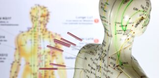 Underlying Theories of Acupuncture Treatment ③