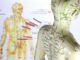 Underlying Theories of Acupuncture Treatment ③