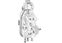 Dongui Bogam Ⅰ. Body(신형 身形) ①
