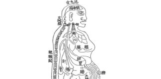 Dongui Bogam Ⅰ. Body(신형 身形) ①