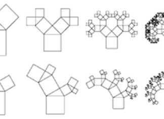Fractal Yin-Yang: The Hidden Order of Qi