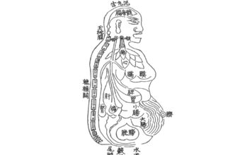 DONGUIBOGAM; Internal Bodily Elements-06. Blood (5)