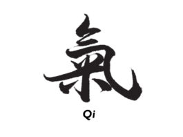 Qi Must Be Real: Rebuilding Asian Medicine Beyond the Mechanistic Worldview