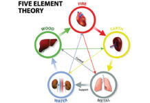 Case Study of Bisoma Acupuncture Using Yang Points