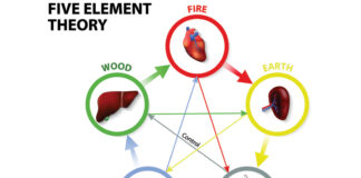 Case Study of Bisoma Acupuncture Using Yang Points