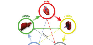 The Dynamics of Shang Han Lun ⑨