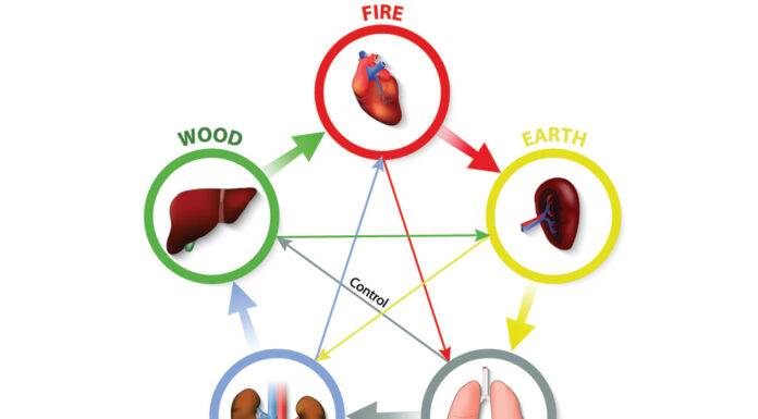 The Dynamics of Shang Han Lun ⑨