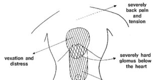 The Dynamics of Shang Han Lun ⑩ Particulars-Part 1