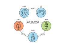 Ayurveda and Sasang Constitutions Are Identical
