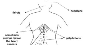 Sign Symptoms and Herbs-Sign Symptom by abdominal diagnosis 1-2