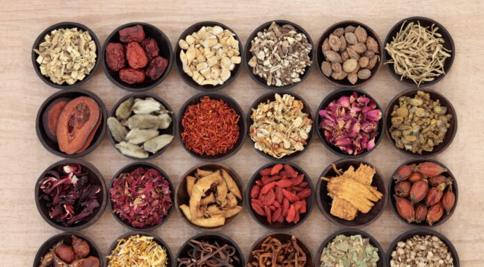 The Dynamics of Shang Han Lun ⑫ Particulars-Part 1 Palpitation (動悸)2