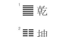 I-Ching (易經) and the philosophy of Eastern Organic Medicine