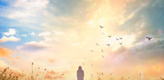 The Union of Heaven and Human (天人合一): Understanding qi philosophy in the light of Whiteheadian cosmology