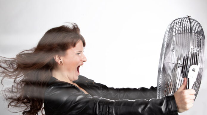 Hot Flashes with Bisoma Acupuncture