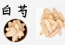 Rediscovering Bai Shao (White Peony Root)