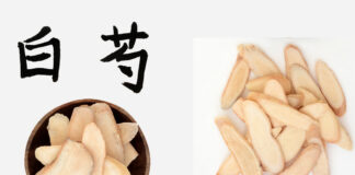Rediscovering Bai Shao (White Peony Root)