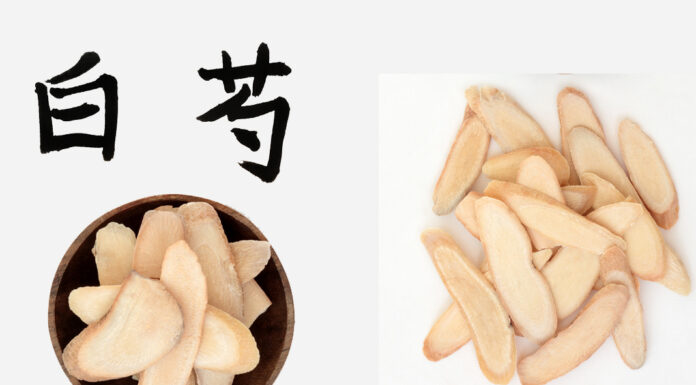 Rediscovering Bai Shao (White Peony Root)