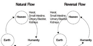 Underlying Theories of Acupuncture Treatment (16) Human bodies represent the Universe and nature