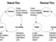 Underlying Theories of Acupuncture Treatment (16) Human bodies represent the Universe and nature