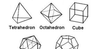 Whitehead’s Nexus (連繫體) and Wuxing (五行): the logic of relations in Wuxing nexus