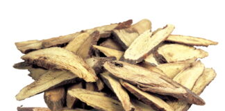 Symptoms and ‘Sign Symptoms’ of Herbs Ⅱ