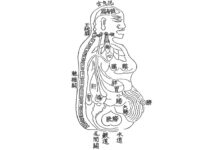 The Key Points of Health Preservation 攝養要訣양생의 요결