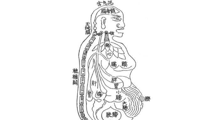 The Key Points of Health Preservation 攝養要訣양생의 요결