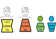 What is Soeumin in Sasang Medicine?