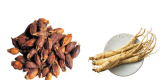 Symptoms and ‘Sign Symptoms’ of Herbs Ⅲ