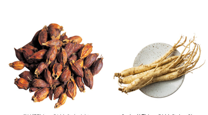 Symptoms and ‘Sign Symptoms’ of Herbs Ⅲ