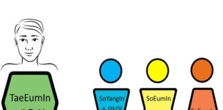Taeeumin Temperament in Sasang Medicine