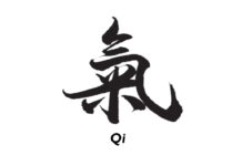 Whitehead’s view of the Human Body as an Organic Society