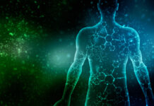 Whitehead’s view of the Human Body as an Organic Society