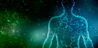 Whitehead’s view of the Human Body as an Organic Society