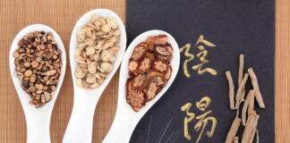 Post Shang Han Run Formulas ② Renshen-Yǎngyíng-Tang (人蔘養營湯) Héjì-Jjúfāng(和劑局方)