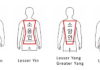 Diagnosing Sasang Torso Shapes