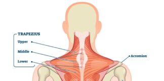 Target trapezius muscle to treat sore eye