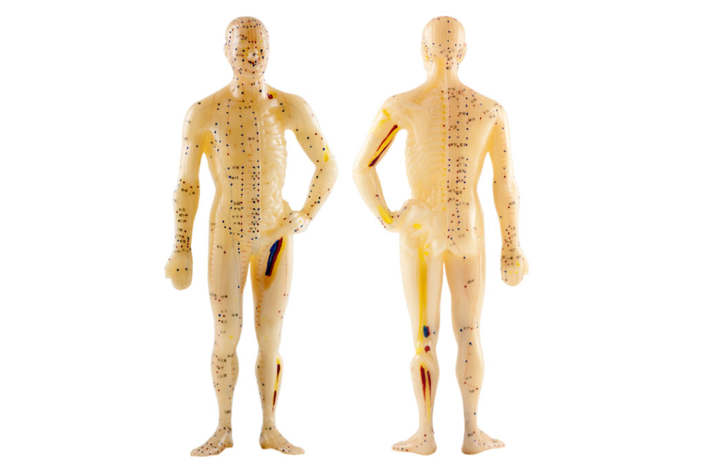 Extra Meridians Underlying Theories of Acupuncture Treatment (24) How We Use Eight ...