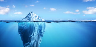 TEM is a Systemic Procedure to Find a Formula by a Patient’s symptom, body type, and CAPE