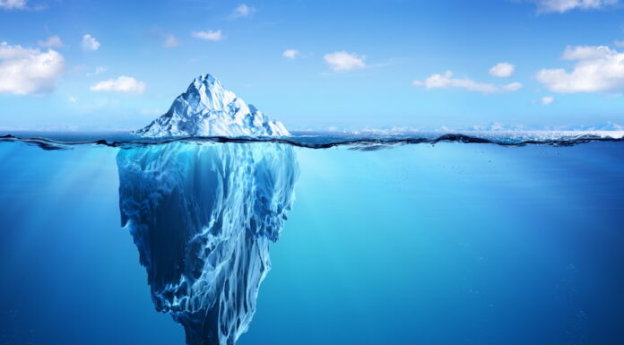 TEM is a Systemic Procedure to Find a Formula by a Patient’s symptom, body type, and CAPE