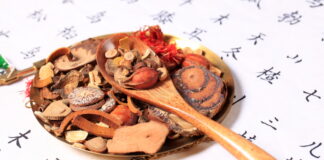 DONGUIBOGAM; Internal Bodily Elements-Essence 精 정 (4)