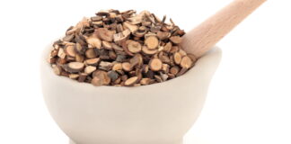 Finding A Guiding Herb Makes Easier to Find the Most Efficient Formula ① Gui Zhi