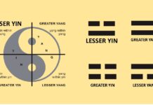 Cold Diagnosis of a Lesser Yin Constitution 소음인의 특성