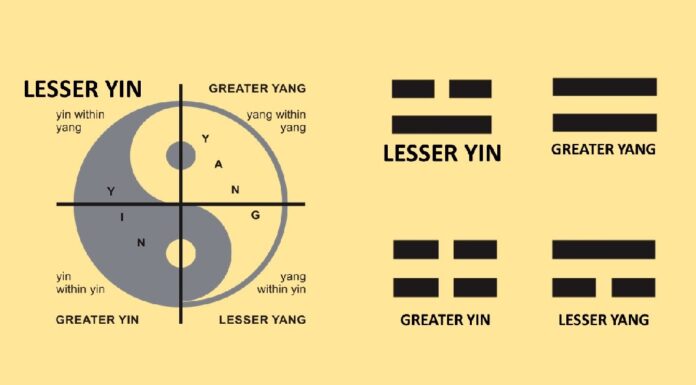 Cold Diagnosis of a Lesser Yin Constitution 소음인의 특성